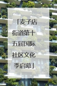 麦子店街道第十五届国际社区文化季启幕